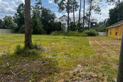 Land in Daytona Beach, Florida № 2104125 - photo 3