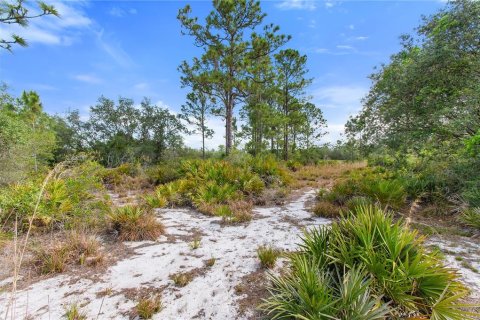 House in Frostproof, Florida 4 bedrooms, 188.22 sq.m. № 1517065 - photo 26