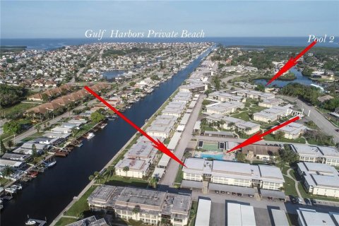 Condo in New Port Richey, Florida, 1 bedroom  № 1789303 - photo 2