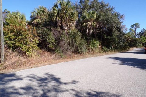 Land in North Port, Florida № 2161062 - photo 3