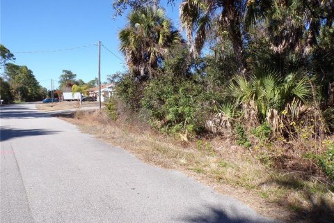 Land in North Port, Florida № 2161062 - photo 7