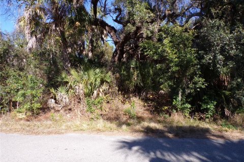 Land in North Port, Florida № 2161062 - photo 5