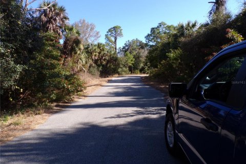 Land in North Port, Florida № 2161062 - photo 9