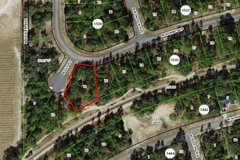 Land in Dunnellon, Florida № 2162771