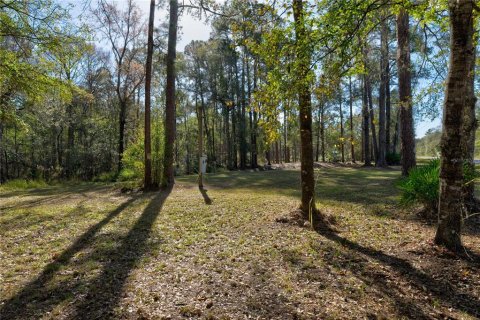 Land in New Port Richey, Florida № 1851891 - photo 2