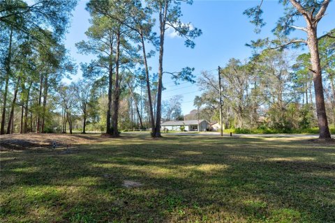 Land in New Port Richey, Florida № 1851891 - photo 4