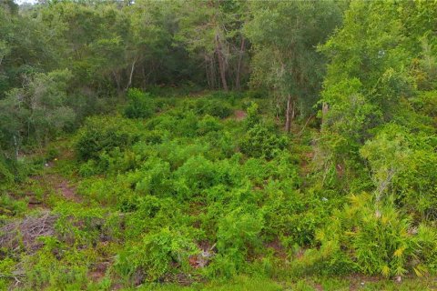 Terrain à vendre à Paisley, Floride № 2203627 - photo 5