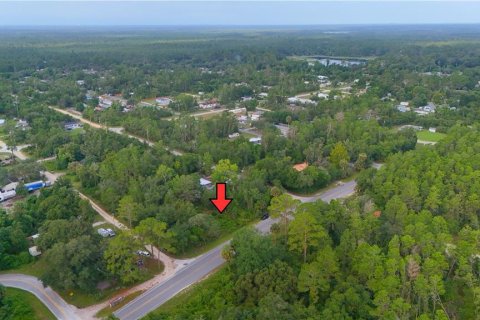 Terreno en Paisley, Florida № 2203627