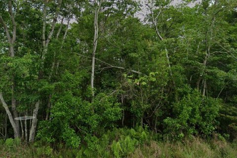 Terrain à vendre à Milton, Floride № 1590535 - photo 4