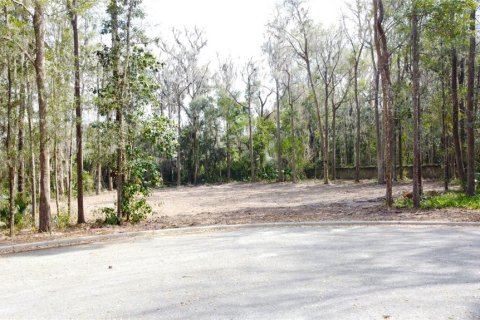 House in Ocala, Florida 4 bedrooms, 355.26 sq.m. № 1626513 - photo 30