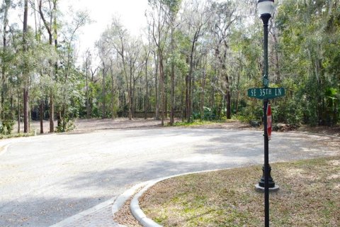 House in Ocala, Florida 4 bedrooms, 355.26 sq.m. № 1626513 - photo 3