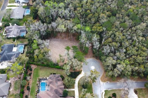 House in Ocala, Florida 4 bedrooms, 355.26 sq.m. № 1626513 - photo 27