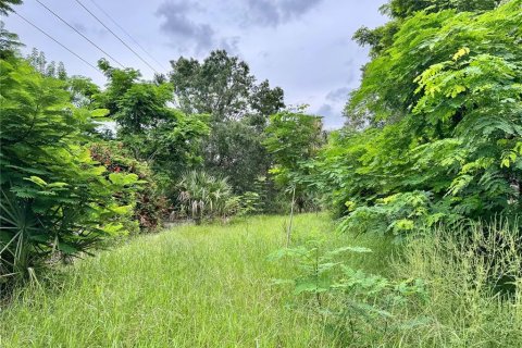Land in Punta Gorda, Florida № 1909487 - photo 4
