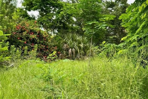 Land in Punta Gorda, Florida № 1909487 - photo 6