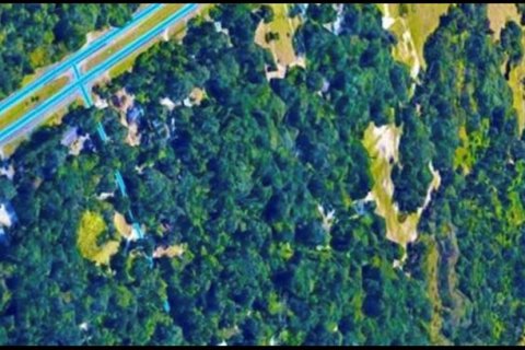 Terreno en venta en Gainesville, Florida № 1872956 - foto 2