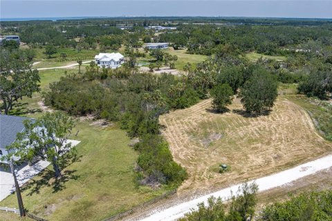 Land in Terra Ceia, Florida № 1657840 - photo 11