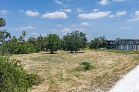 Land in Terra Ceia, Florida № 1657840 - photo 3