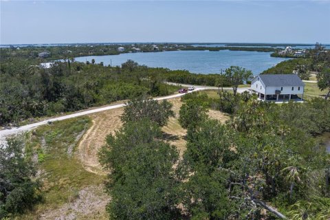 Land in Terra Ceia, Florida № 1657840 - photo 8