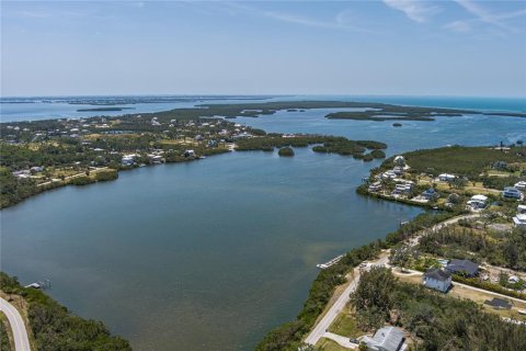 Land in Terra Ceia, Florida № 1657840 - photo 15