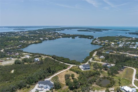 Land in Terra Ceia, Florida № 1657840 - photo 14