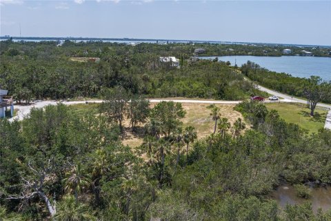 Land in Terra Ceia, Florida № 1657840 - photo 9
