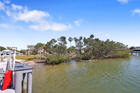 Villa ou maison à vendre à Saint Petersburg, Floride: 5 chambres, 288.46 m2 № 1638199 - photo 15