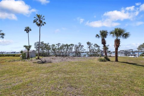 Villa ou maison à vendre à Saint Petersburg, Floride: 5 chambres, 288.46 m2 № 1638199 - photo 2