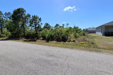 Land in Port Charlotte, Florida № 2231338 - photo 8