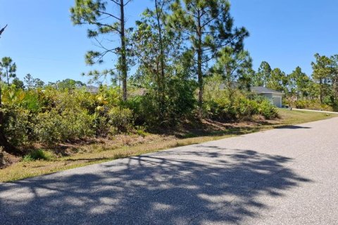 Land in Port Charlotte, Florida № 2231338 - photo 2