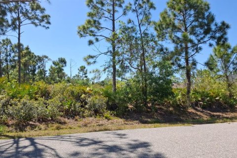 Land in Port Charlotte, Florida № 2231338 - photo 3