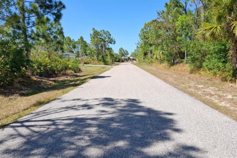 Land in Port Charlotte, Florida № 2231338 - photo 5