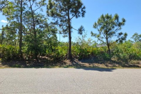 Terreno en Port Charlotte, Florida № 2231338