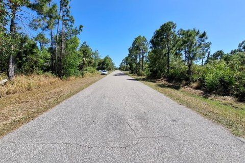 Land in Port Charlotte, Florida № 2231338 - photo 6