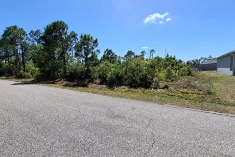 Land in Port Charlotte, Florida № 2231338 - photo 4