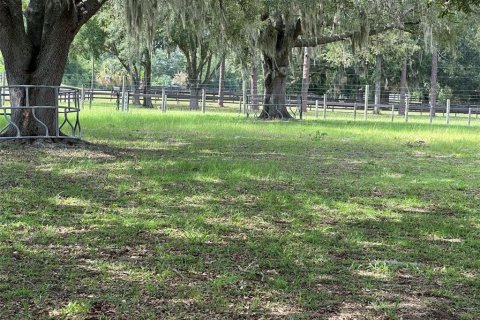 Terrain à vendre à Ocala, Floride № 2204606 - photo 5