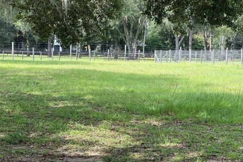 Terrain à vendre à Ocala, Floride № 2204606 - photo 6