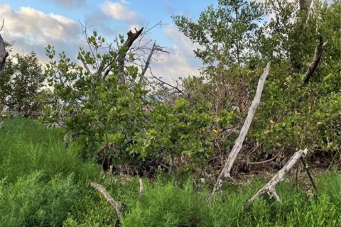 Commercial property in Marathon, Florida № 2027035 - photo 7