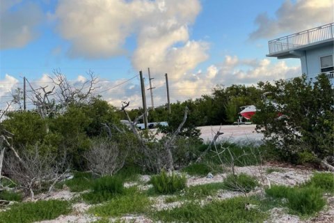 Commercial property in Marathon, Florida № 2027035 - photo 5