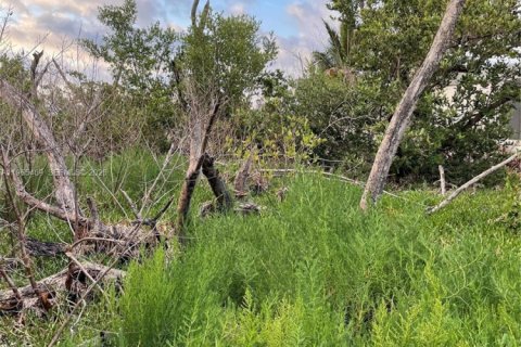 Commercial property in Marathon, Florida № 2027035 - photo 12