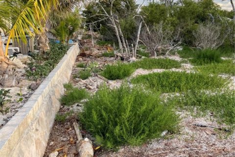 Commercial property in Marathon, Florida № 2027035 - photo 4