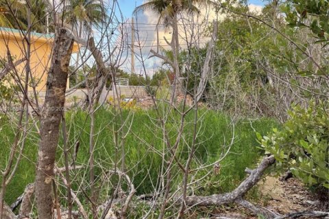 Commercial property in Marathon, Florida № 2027035 - photo 8