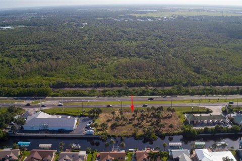 Land in Punta Gorda, Florida № 1296125 - photo 12