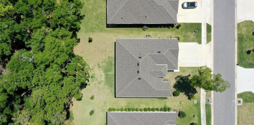 House in Ormond Beach, Florida 4 bedrooms, 197.6 sq.m. № 1807282