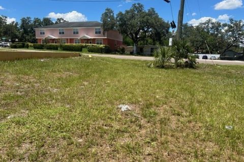 Terreno en venta en Tampa, Florida № 1848048 - foto 3