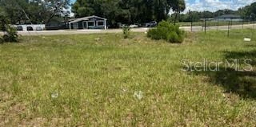 Land in Tampa, Florida № 1848048