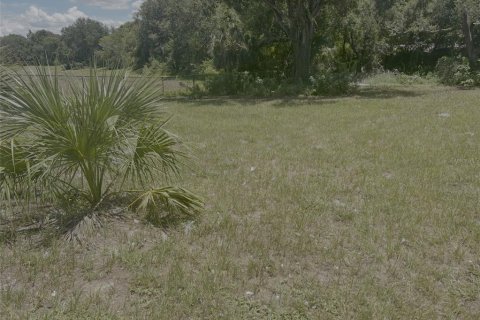 Terreno en venta en Tampa, Florida № 1848048 - foto 7