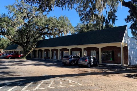 Commercial property in Brandon, Florida 2955.69 sq.m. № 1851653 - photo 1
