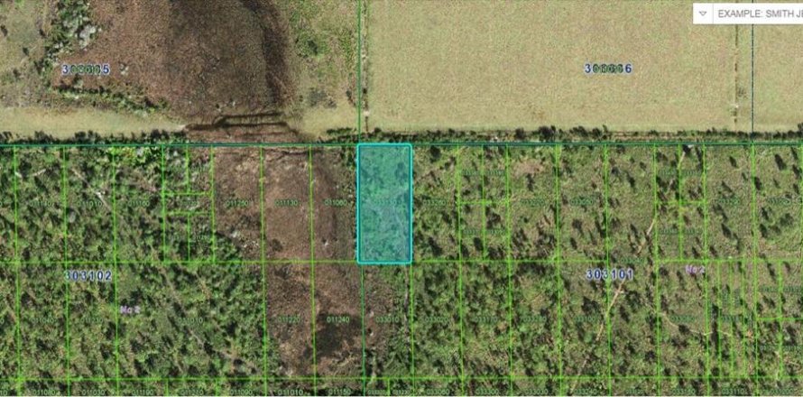 Land in Lake Wales, Florida № 2158876