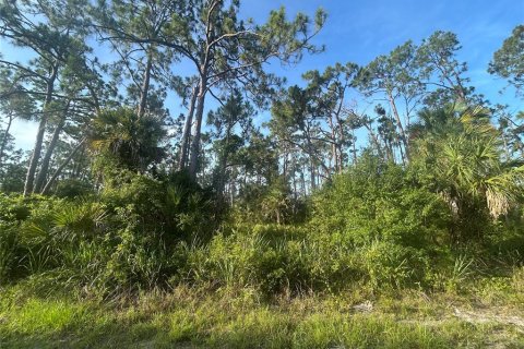 Land in Port Charlotte, Florida № 2165225 - photo 3