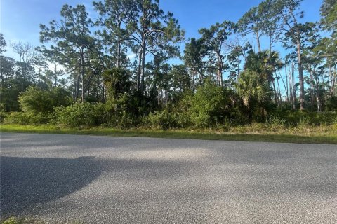 Land in Port Charlotte, Florida № 2165225